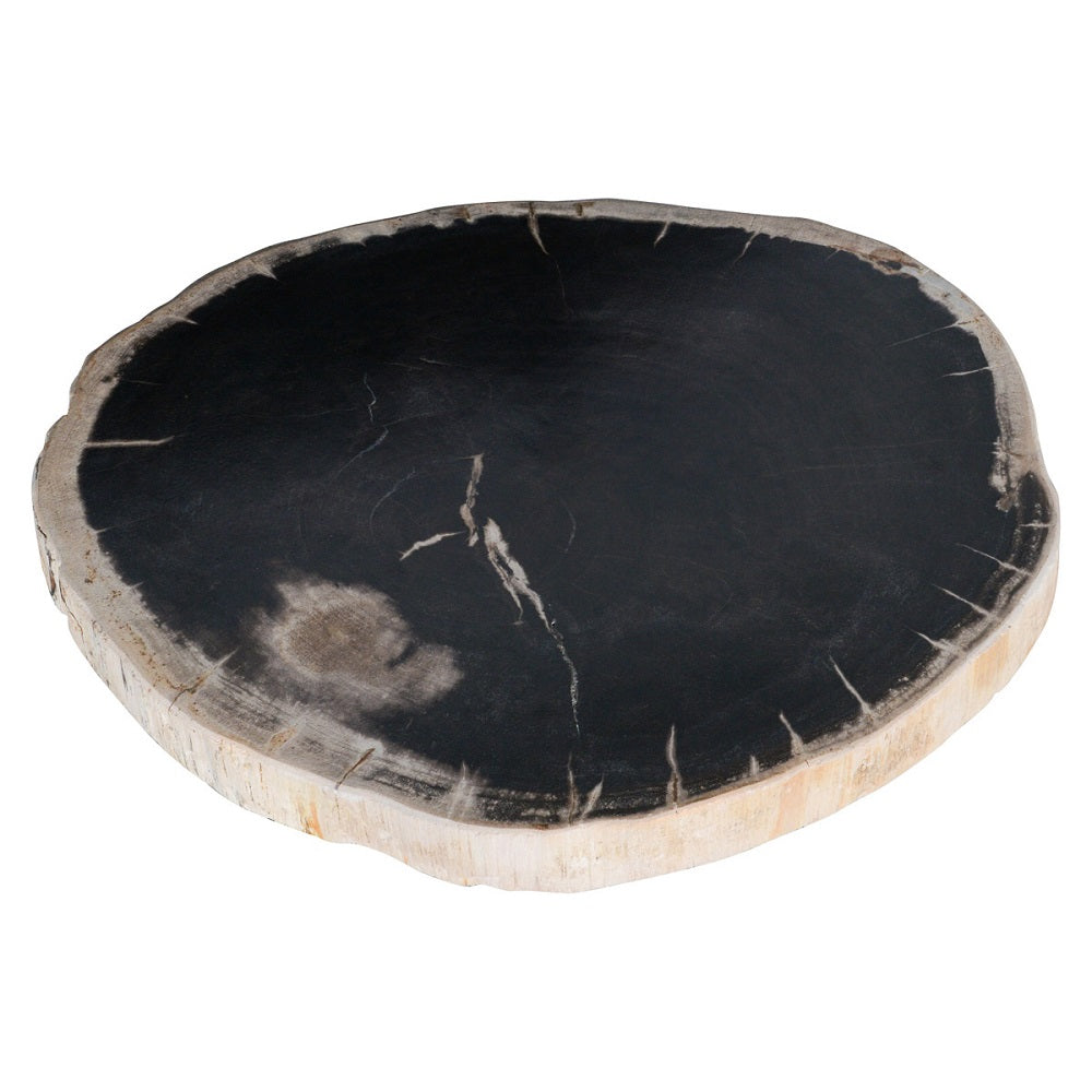 Merion Petrified Wood Side Table 21"