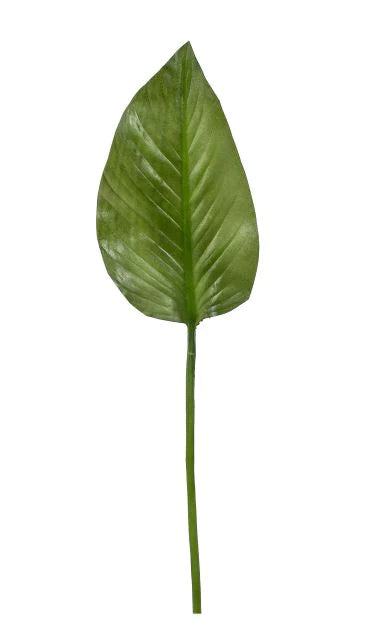 small calla lily plant 24" Small Calla Lily Leaf – Cokas Diko Home