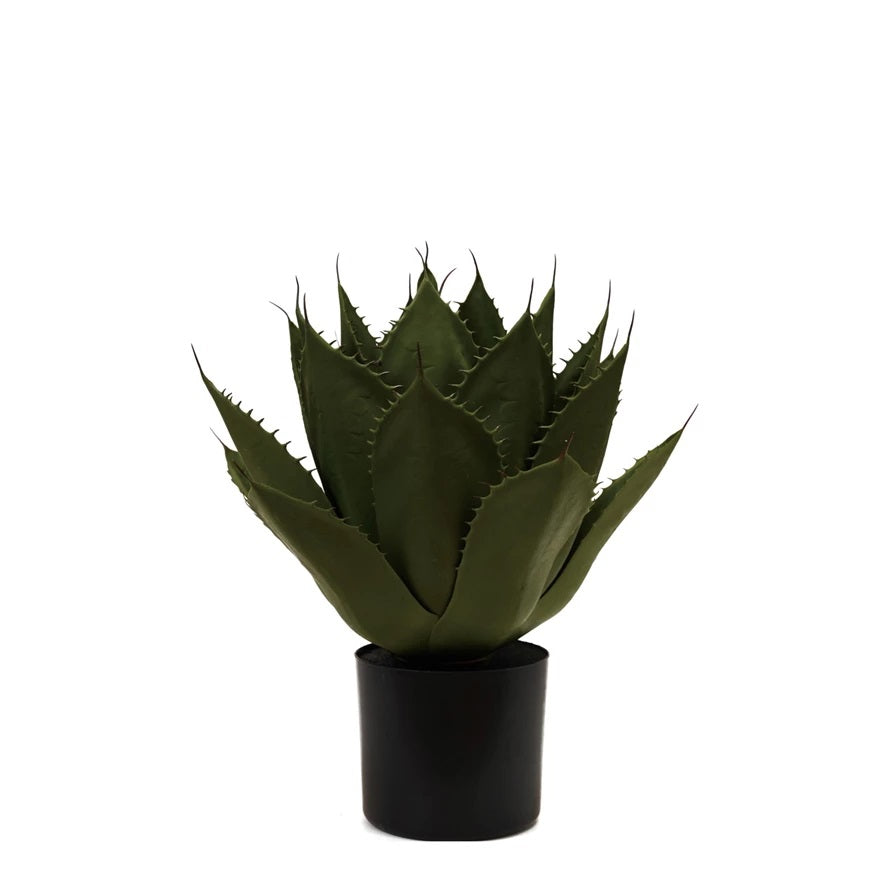 mimic plant plastic Faux Agave Plant 20" – Cokas Diko Home