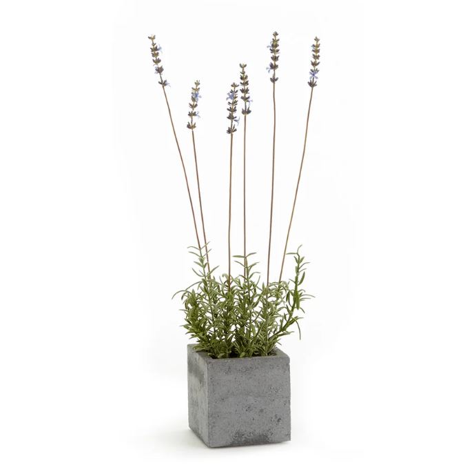 faux lavender potted plant French Lavender Square Potted Faux Plant 19" – Cokas Diko Home
