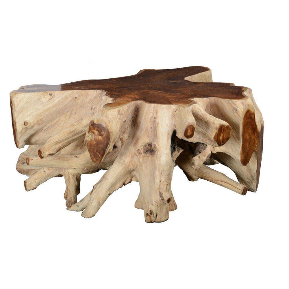 Root Coffee table